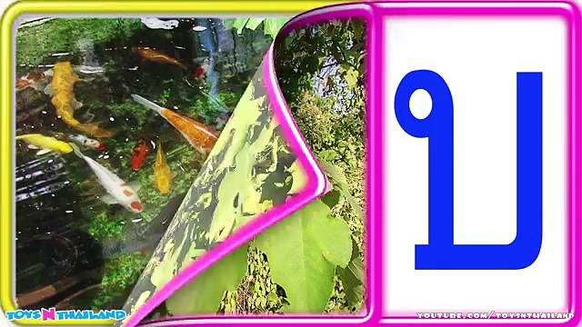 เพลง ก เอ๋ย ก ไก่ เพลงเด็ก แบบดั้งเดิม ภาพจริง จำง่าย สนุกๆ - Learn Thai Alphabet
