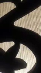 Fizza Khan Message For all the losers who make fun of others!