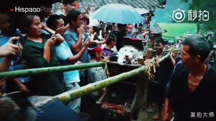 Vea como adoran a los perros en la ciudad china de Guizhou
