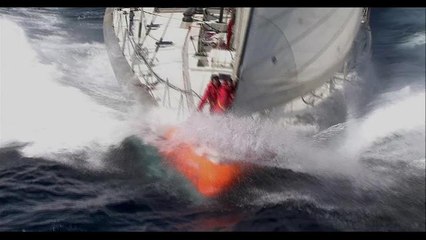 Festival Pariscience : Bande-annonce Tara, l'odyssée du corail