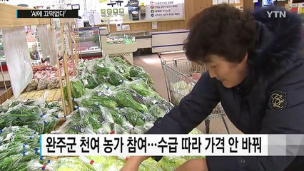 'AI에 끄떡없다'...협동조합 양계 / YTN (Yes! Top News)