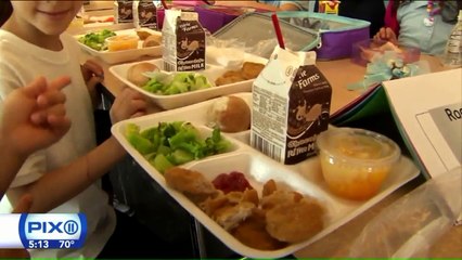Free Lunch Now Will Be Provided for All NYC Public School Students