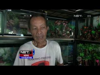 Kurangi Limbah Perajin Ini Olah Plastik Menjadi Karang Aquarium - NET12
