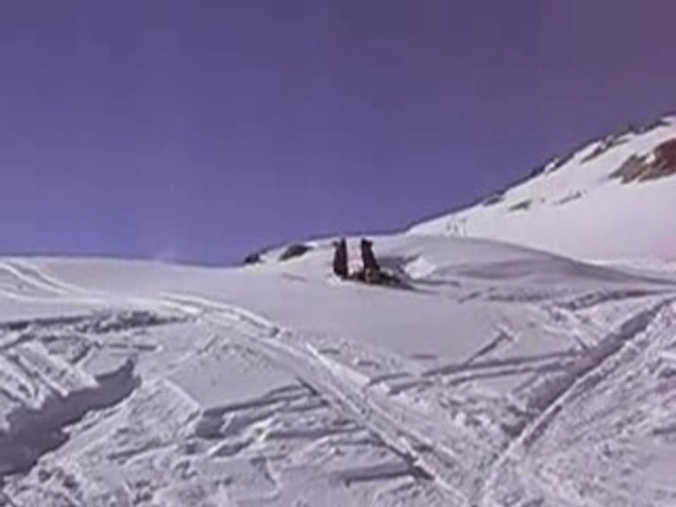 Freestyle Ski