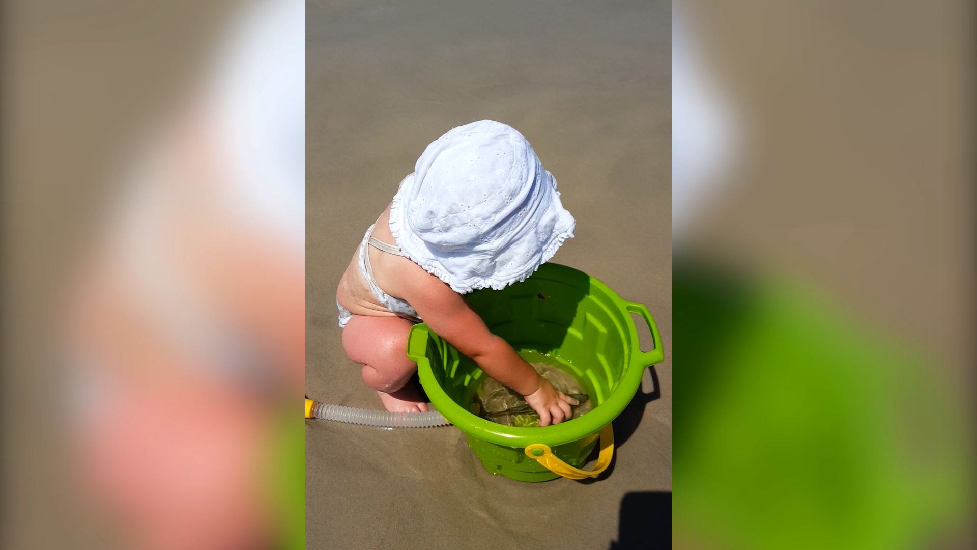 ⁣Toddler Loves New Pet Fish