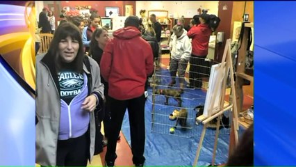 Скачать видео: Dogs Displaced by Harvey Arrive in Pennsylvania for Adoption