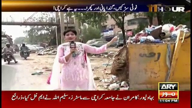 Karachi's situation says local bodies' election did not serve its purpose