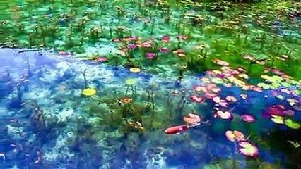 ao ca dep nhu trong tranh ve