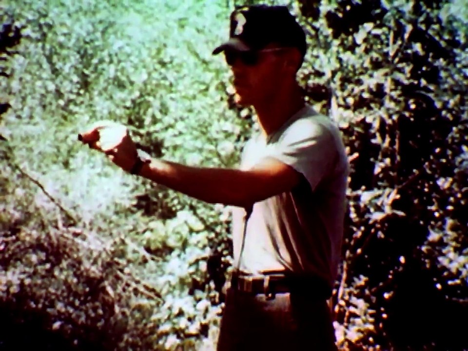 Vietnam Training Report No. 11 _Stay Alert, Stay Alive_ 1967