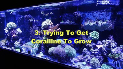 30 Things I Wish I Knew About The Saltwater Hobby When Starting Out