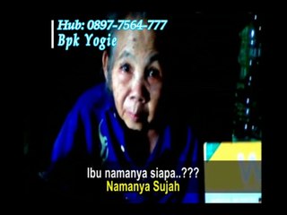 0818-2040-55 (Bpk Yogie), Warmax Immune Boster