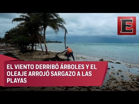 Saldo blanco en Quintana Roo tras paso de al tormenta Franklin