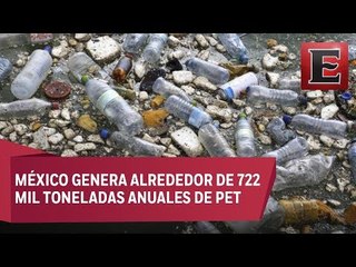 Hongos para degradar botellas de PET