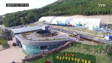 통합의학으로 대한민국 건강 1번지 도약 / YTN (Yes! Top News)