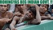 Rohingyas beg for mercy, plead Indian govt. to not deport them | Oneindia News