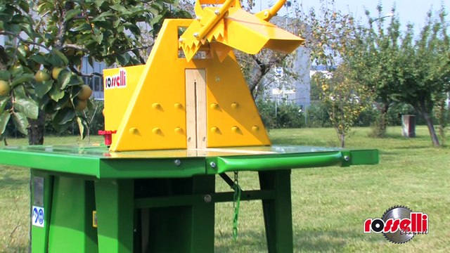 Sega circolare motore elettrico per legna da ardere M-350 - Rosselli Snc