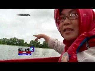 Populasi Bekantan Mulai Tergerus - NET12