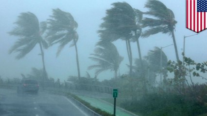 Download Video: Hurricane Irma: Here’s how to properly prepare yourself in case of an evacuation - TomoNews