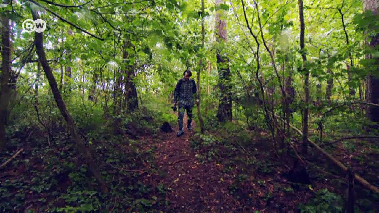 Meister des Steine-Balancierens | DW Deutsch