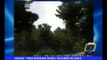 GARGANO | Preso incendiario grazie a telecamere nel bosco