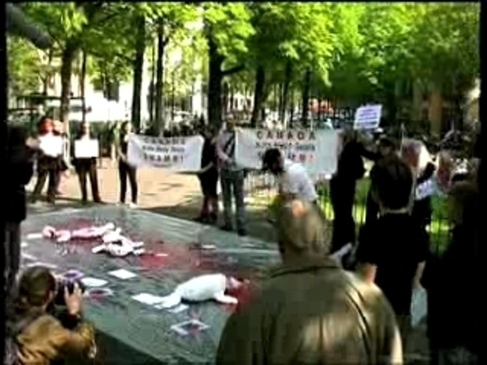 Manif contre la chasse aux phoques