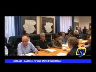 GARGANO | Gabrielli: "Sì allo stato d'emergenza"