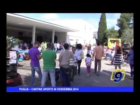 PUGLIA | Cantine aperte in vendemmia 2014