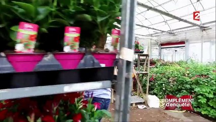 L'inventeur du Polyter fait pousser des arbres en plein désert