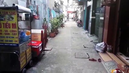 Effective Pitbull Training Tips for a Well-Behaved Dog 🐶