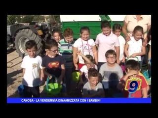 CANOSA DI PUGLIA | La vendemmia dinamizzata con i bambini