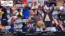 Colin Munro Fastest 50 on 14 Balls ¦¦ CP 7th September 2017 Vid. ¦¦ Cricket passion (CP)