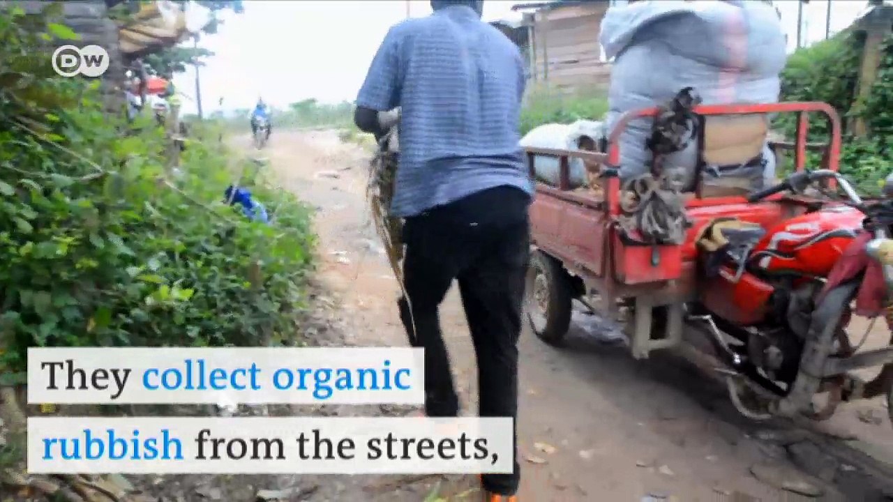 Greener coal from banana skins | DW English