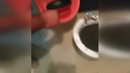 Polisi Görünce Uyuşturucuyu Klozete Attı
