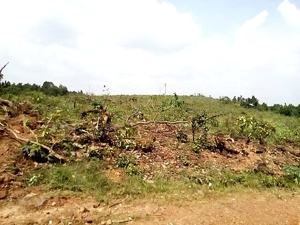 VID_20160912_134209