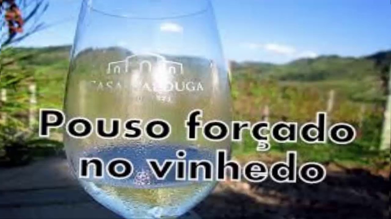 POUSO FORÇADO NO VINHEDO