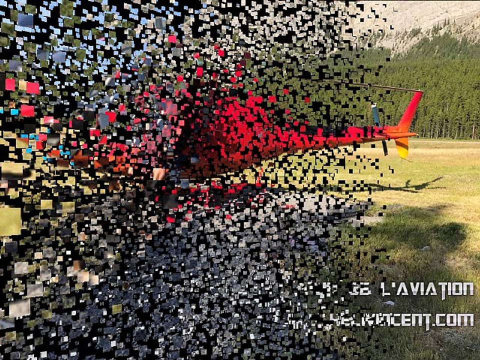 Denis Vincent et sa passion pour de l'aviation