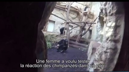 Une jeune femme twerk pour un public assez particulier !