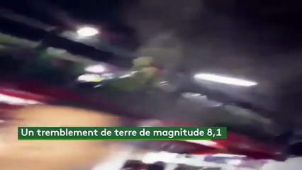 Séisme au Mexique : les images de la secousse