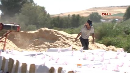 Diyarbakır Saman Bu Yıl Çiftçinin Yüzünü Güldürdü