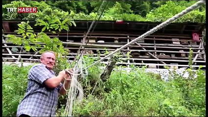 Her şey balları korumak için