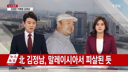 '독침 피살' 김정남은 누구인가 / YTN (Yes! Top News)