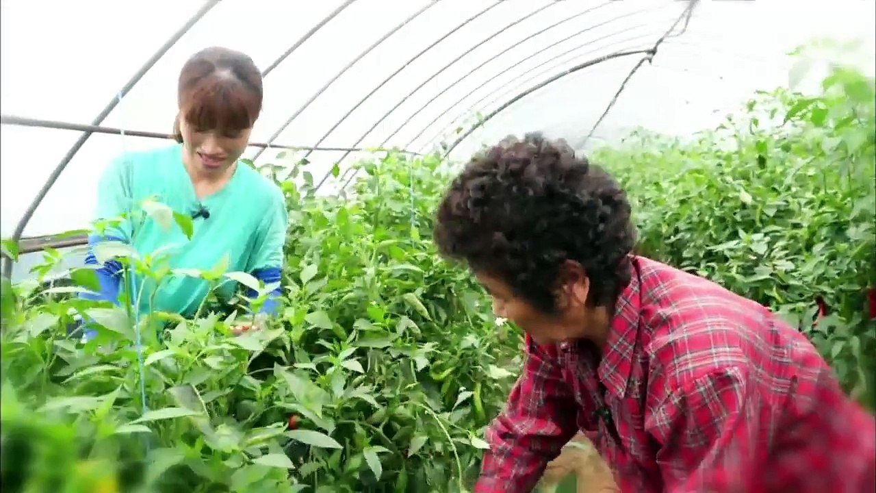 다문화 고부열전 - 재산 다 물려주고 대접 못받는 시어머니와 무관심한 며느리_#001