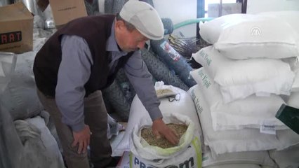 Buğdayın Atası Siyezin İşlenmemişi 2, İşlenmişi 10 Lira