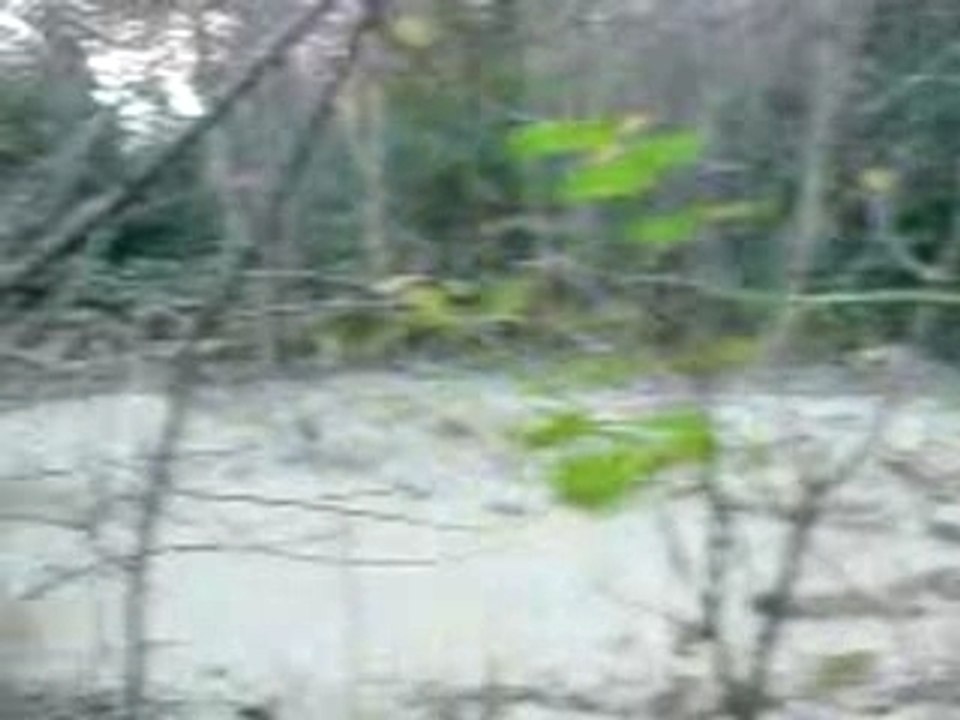MOV00222