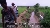 Des dizaines de milliers de Rohingyas fuient au Bangladesh