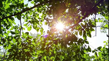 Tera Banda (Full Video Song) - Shahbaz Khan - Bulleh Shah - Punjabi Songs - YouTube