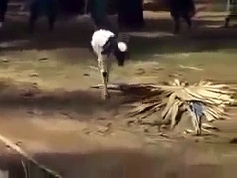 Allah ki Kudrat ki shaan Miracles of Allah A goat with just two legs walking and living