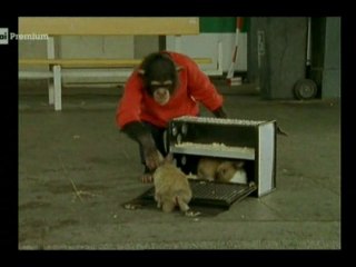 Il nostro amico Charly 10x12 - Colpi di fulmine