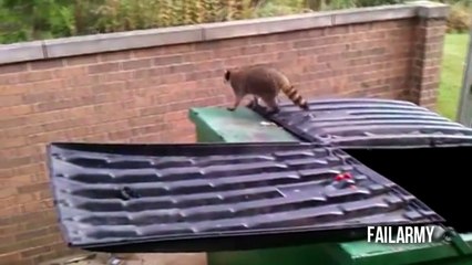 Best Fails of the Week 4 May 2013 || FailArmy