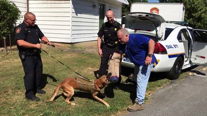 Testing out a K9 Police Dog Bite Sleeve